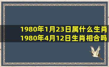 1980年1月23日属什么生肖1980年4月12日生肖相合吗