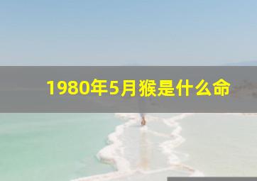 1980年5月猴是什么命