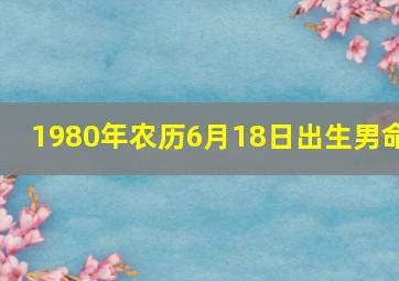 1980年农历6月18日出生男命