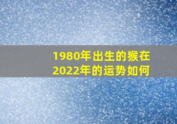 1980年出生的猴在2022年的运势如何