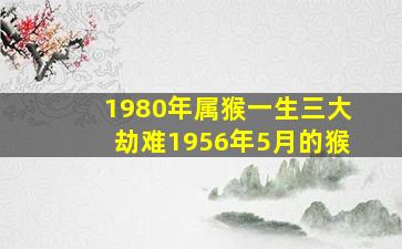 1980年属猴一生三大劫难1956年5月的猴