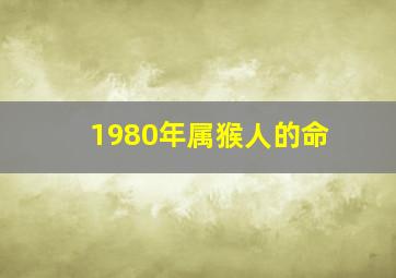 1980年属猴人的命