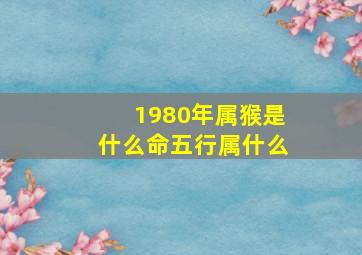 1980年属猴是什么命五行属什么