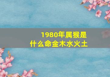 1980年属猴是什么命金木水火土