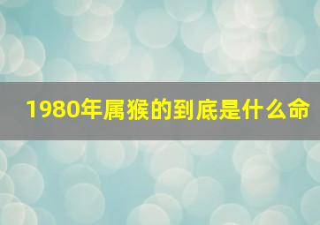 1980年属猴的到底是什么命