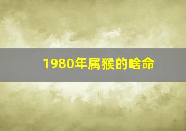 1980年属猴的啥命