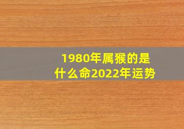 1980年属猴的是什么命2022年运势