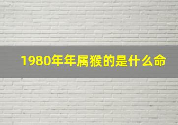 1980年年属猴的是什么命