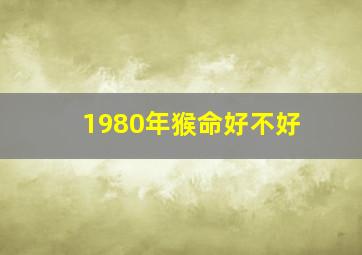 1980年猴命好不好