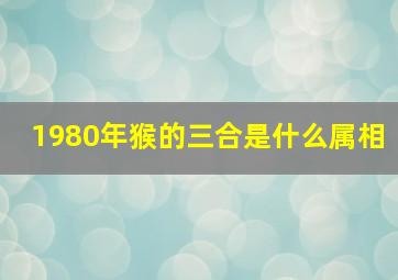 1980年猴的三合是什么属相