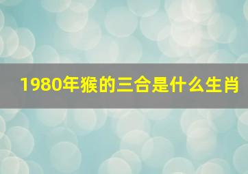 1980年猴的三合是什么生肖