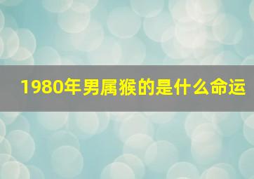 1980年男属猴的是什么命运