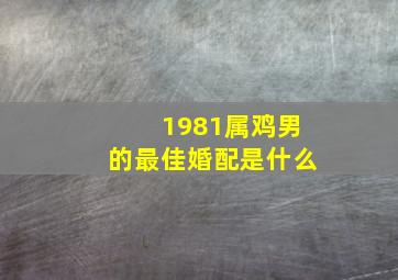 1981属鸡男的最佳婚配是什么