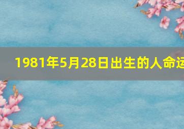 1981年5月28日出生的人命运