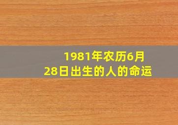 1981年农历6月28日出生的人的命运