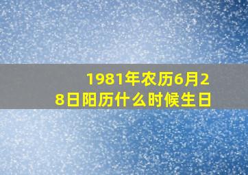 1981年农历6月28日阳历什么时候生日