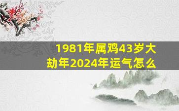 1981年属鸡43岁大劫年2024年运气怎么