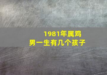 1981年属鸡男一生有几个孩子