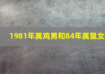 1981年属鸡男和84年属鼠女