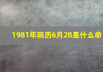 1981年阴历6月28是什么命