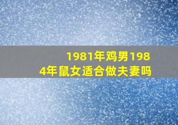 1981年鸡男1984年鼠女适合做夫妻吗