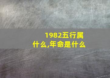 1982五行属什么,年命是什么