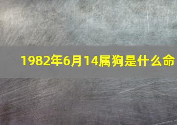 1982年6月14属狗是什么命