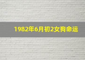 1982年6月初2女狗命运