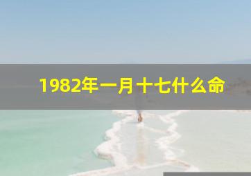 1982年一月十七什么命