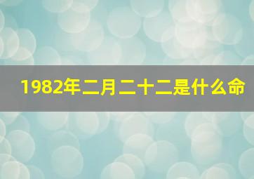 1982年二月二十二是什么命