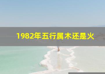 1982年五行属木还是火