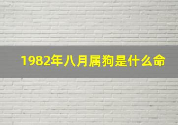 1982年八月属狗是什么命