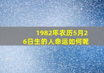 1982年农历5月26日生的人命运如何呢