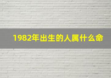 1982年出生的人属什么命