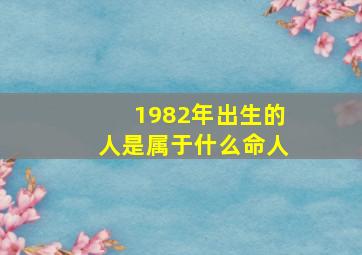 1982年出生的人是属于什么命人