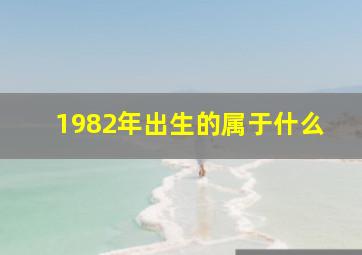 1982年出生的属于什么