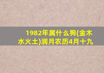 1982年属什么狗(金木水火土)润月农历4月十九