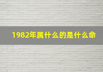 1982年属什么的是什么命