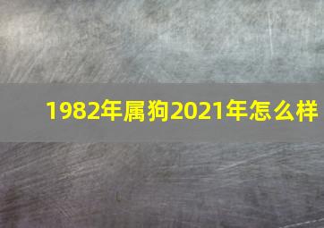 1982年属狗2021年怎么样