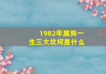 1982年属狗一生三大坎坷是什么