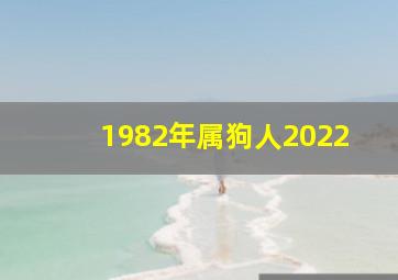 1982年属狗人2022