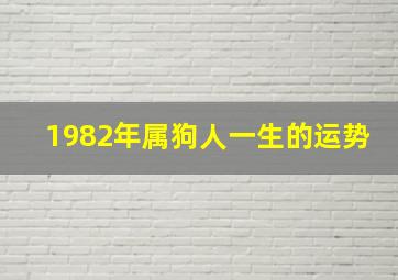 1982年属狗人一生的运势