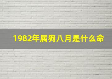 1982年属狗八月是什么命