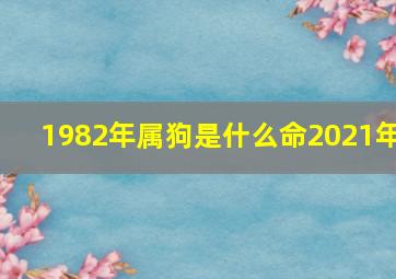 1982年属狗是什么命2021年