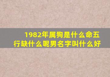 1982年属狗是什么命五行缺什么呢男名字叫什么好