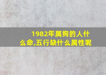 1982年属狗的人什么命,五行缺什么属性呢