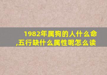 1982年属狗的人什么命,五行缺什么属性呢怎么读