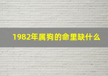 1982年属狗的命里缺什么