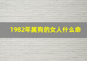 1982年属狗的女人什么命