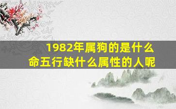 1982年属狗的是什么命五行缺什么属性的人呢